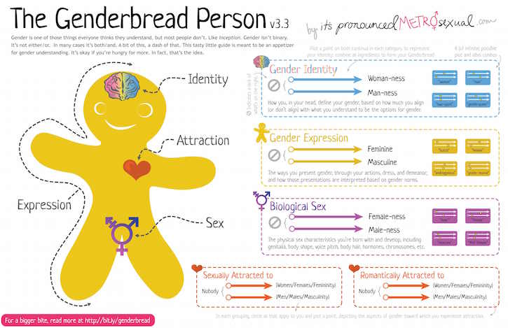 Arus Pelangi use the image of a ‘genderbread person’ to raise awareness of the complexities of gender identity - Arus Pelangi Arus Pelangi use the image of a ‘genderbread person’ to raise awareness of the complexities of gender identity - Arus Pelangi