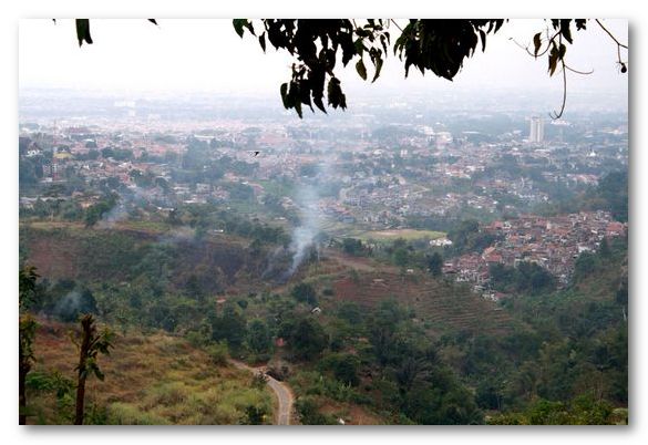 reerink2.jpg reerink2.jpg